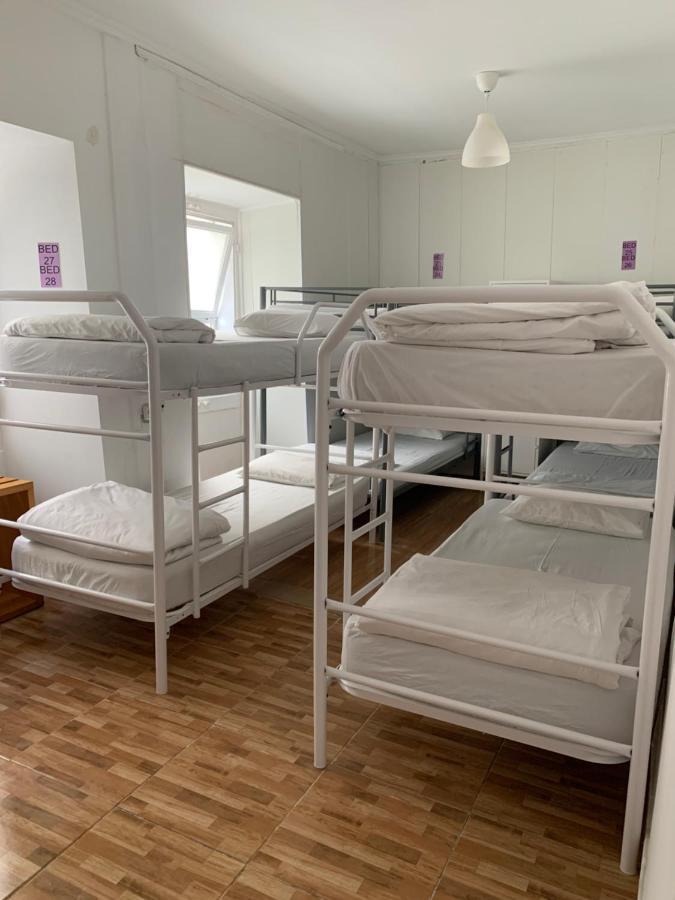 My Albergue *